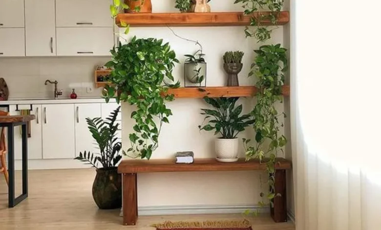 ایده های جذاب برای گل و گیاه در خانه
