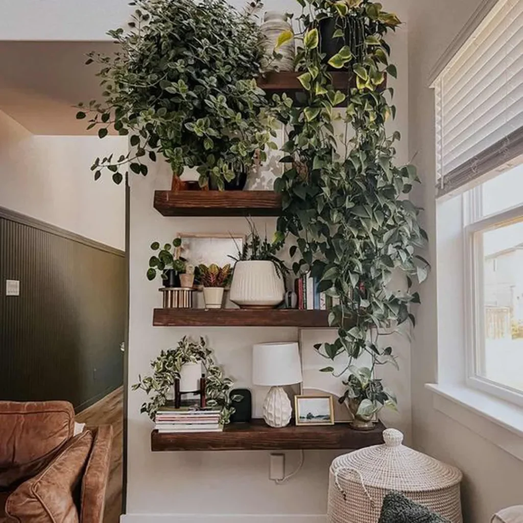 ایده های بینظیر برای گل و گیاه در خانه